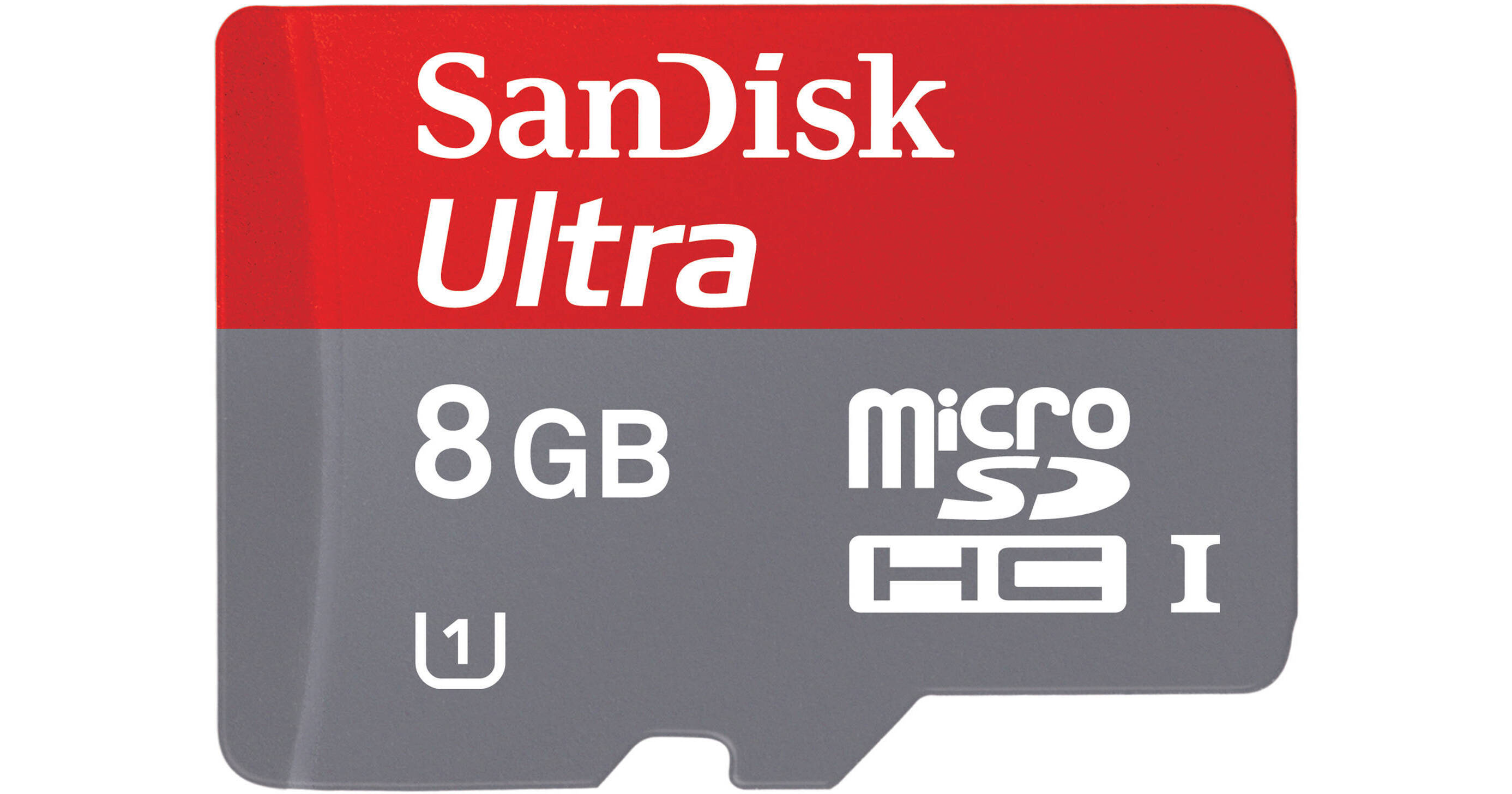 Micro SD (8GB)